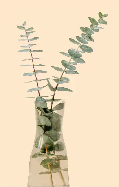 Beruhigende Blumenvase